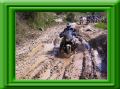 Genovesi Off Road.jpg